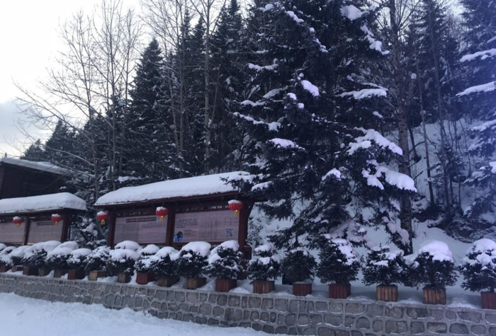 雪乡自助游【雪乡万家民宿】