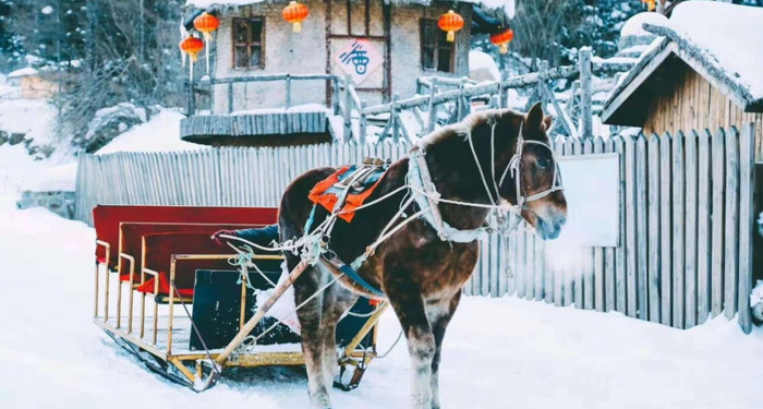 雪乡自助游【雪乡万家民宿】