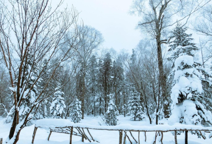 雪乡自助游【雪乡万家民宿】