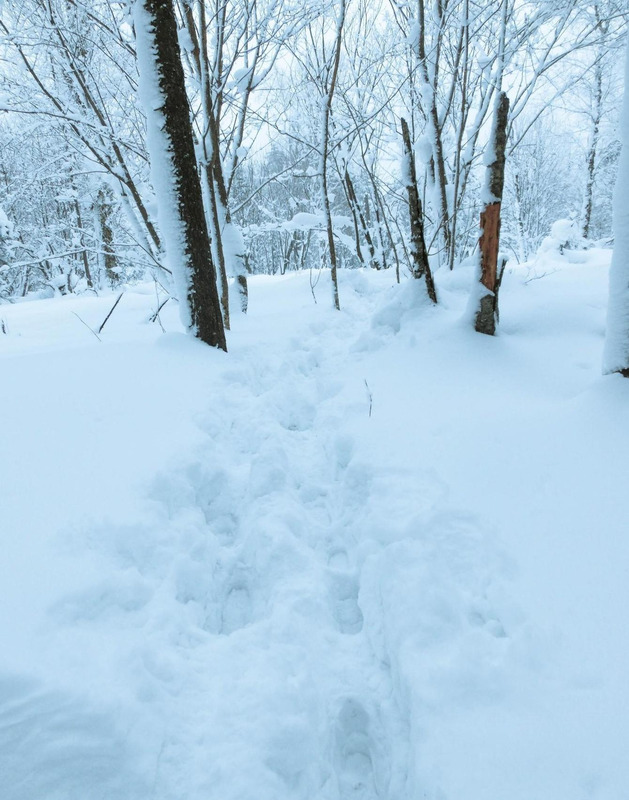 雪乡自助游【雪乡万家民宿】