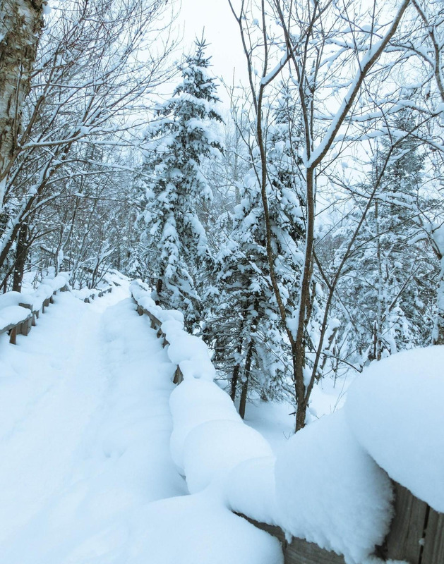 雪乡自助游【雪乡万家民宿】