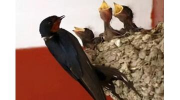 2022年天干地支五行对照表【2022年天干地支什么年份】