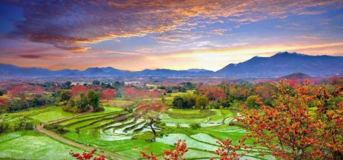 相信 朗诵稿子【相信的力量范文】