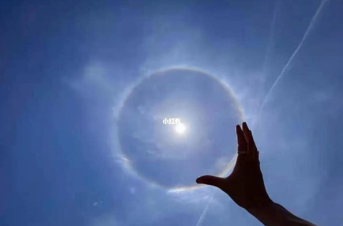 相信 朗诵稿子【相信的力量范文】