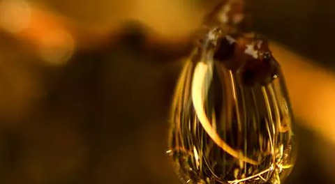 花珀佩戴功效与作用价格【花珀的功效与作用是什么,佩戴花珀的好处有哪些】