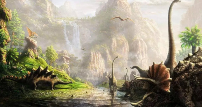 花珀佩戴功效与作用价格【花珀的功效与作用是什么,佩戴花珀的好处有哪些】