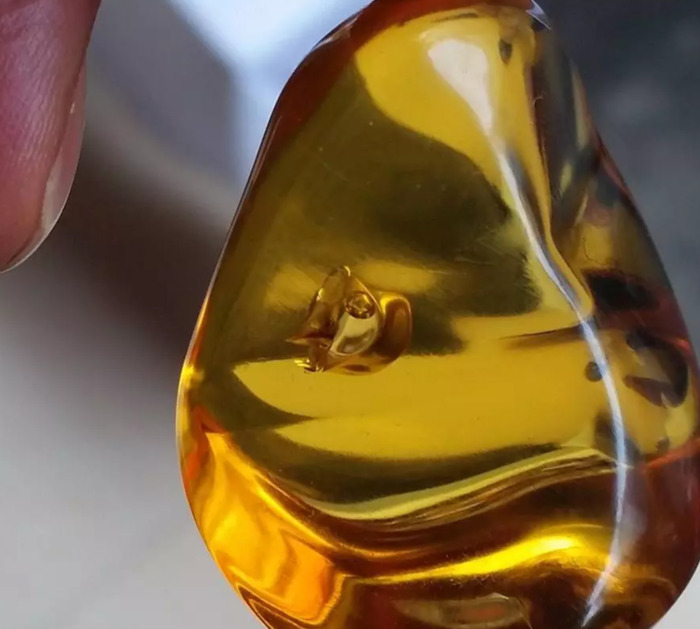 花珀佩戴功效与作用价格【花珀的功效与作用是什么,佩戴花珀的好处有哪些】