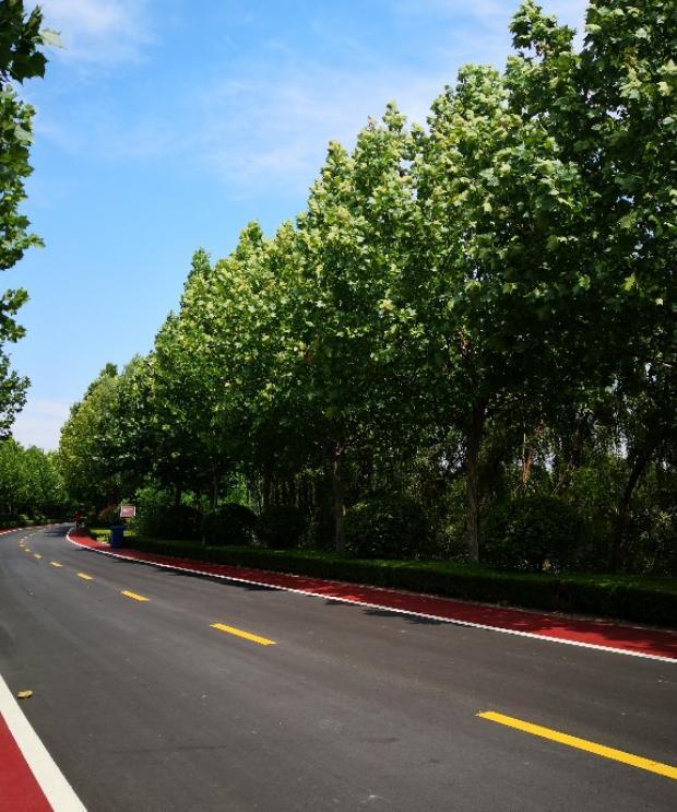 大雁的叫声拟声词声描写【大雁的拟声词】