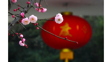 最经典的腊梅花诗【腊梅花诗词鉴赏】