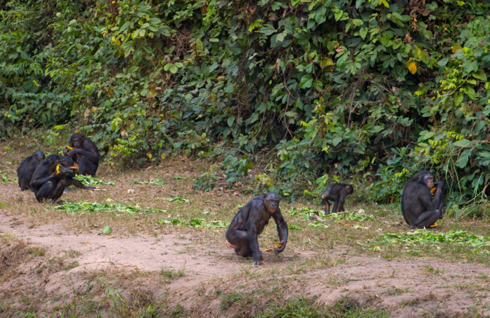 全球最穷的10个国家排名【全球最穷的10个国家全球最富的国家】