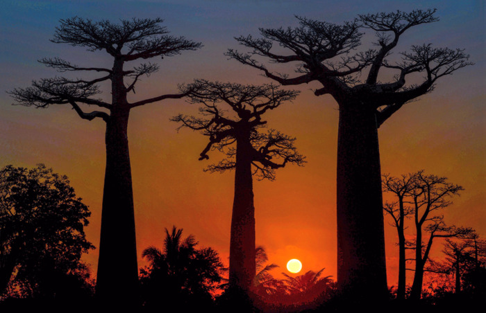 全球最穷的10个国家排名【全球最穷的10个国家全球最富的国家】