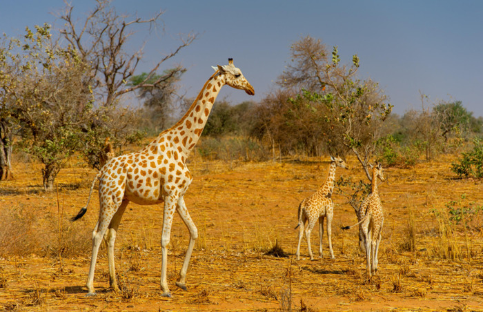 全球最穷的10个国家排名【全球最穷的10个国家全球最富的国家】