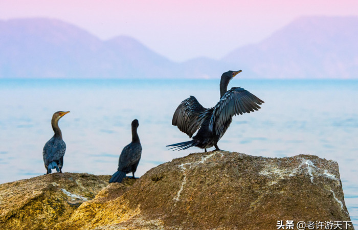 全球最穷的10个国家排名【全球最穷的10个国家全球最富的国家】