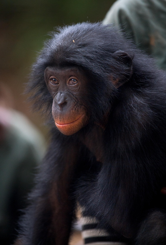 全球最穷的10个国家排名【全球最穷的10个国家全球最富的国家】