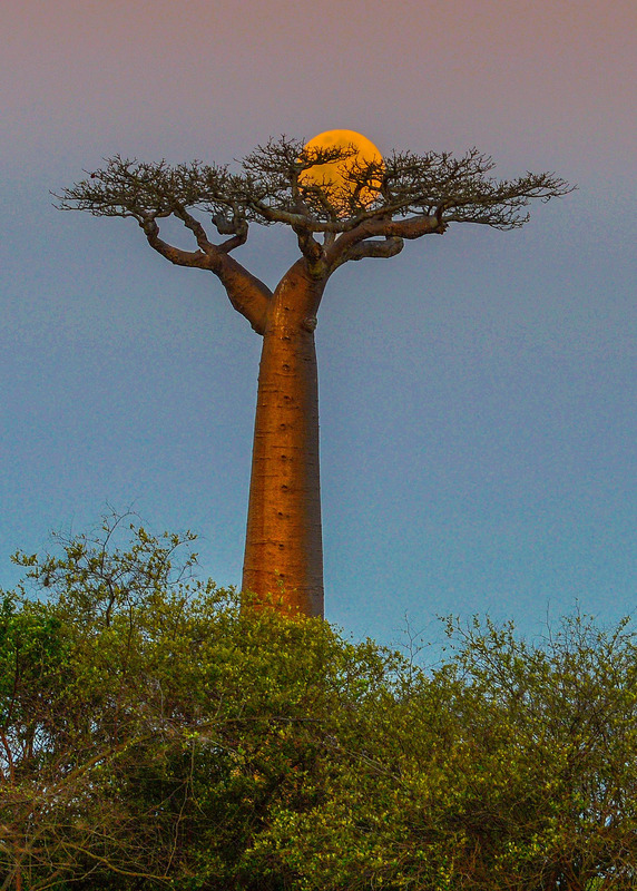 全球最穷的10个国家排名【全球最穷的10个国家全球最富的国家】