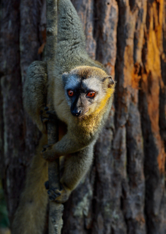 全球最穷的10个国家排名【全球最穷的10个国家全球最富的国家】