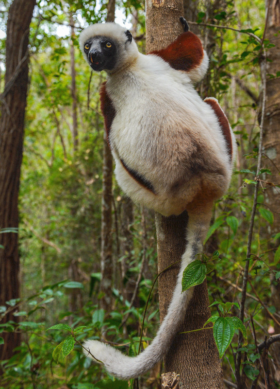 全球最穷的10个国家排名【全球最穷的10个国家全球最富的国家】
