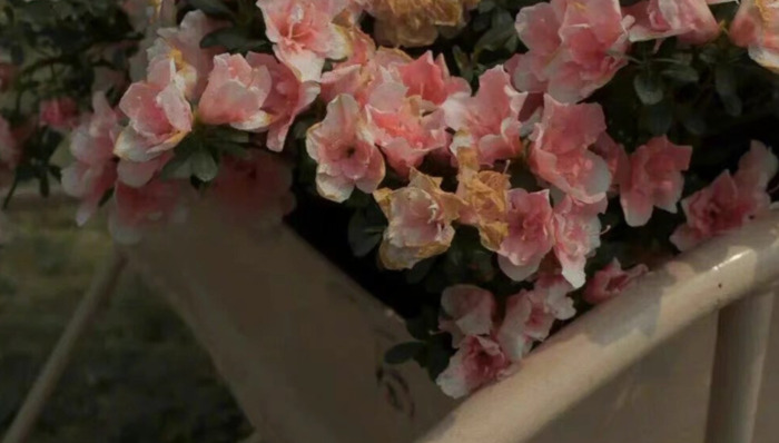 专治天蝎的星座【哪个星座治得住天蝎座】