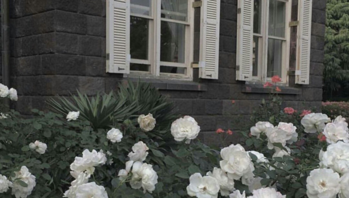 专治天蝎的星座【哪个星座治得住天蝎座】