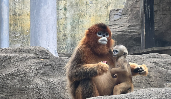 五一大连旅游自由行攻略【五一去大连攻略】