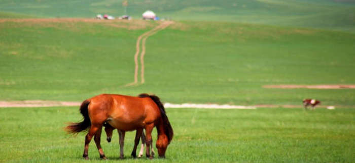 中年女人魅力和气质的句子【形容蒙古女人魅力和气质的句子】