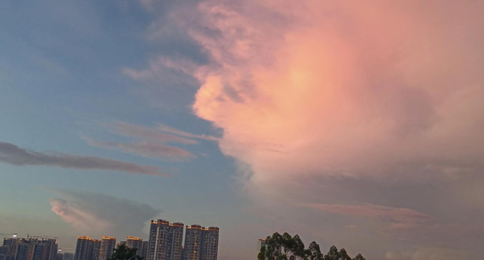 身边的风景说说【身边的风景作文】