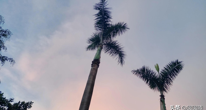 身边的风景说说【身边的风景作文】