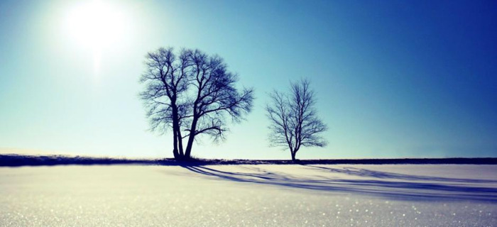 月亮双子男的真爱类型【月亮双子是什么意思】