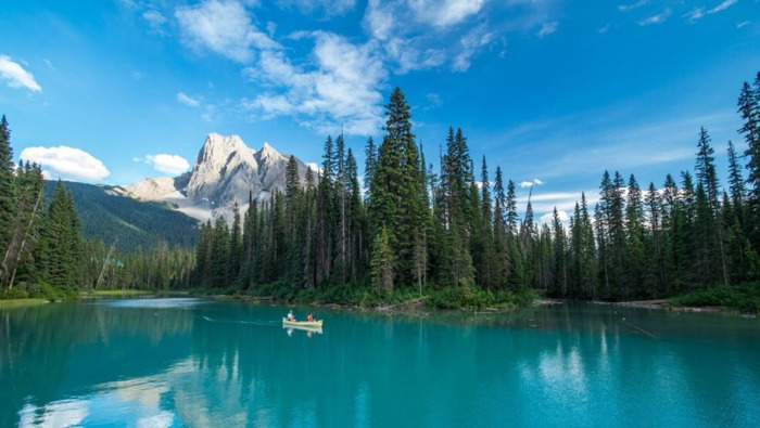 月亮双子男的真爱类型【月亮双子是什么意思】