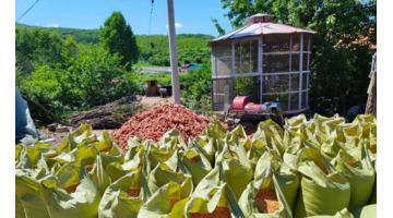 咋咋呼呼拼音和意思【咋咋呼呼拼音字母】