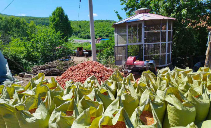 咋咋呼呼拼音和意思【咋咋呼呼拼音字母】