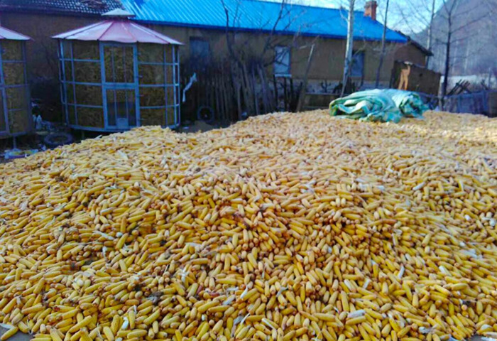 咋咋呼呼拼音和意思【咋咋呼呼拼音字母】