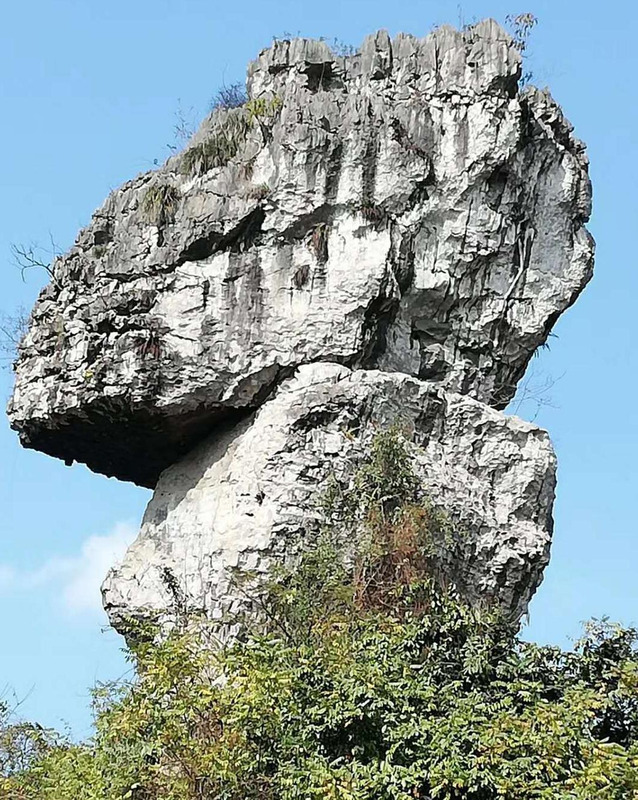 拉法基水泥怎么样【拉法基水泥厂的地址】