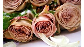 任何关系你给我珍惜我还你值得文案【任何关系你给我珍惜我还你值得什么意思】