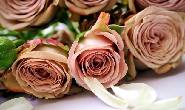 任何关系你给我珍惜我还你值得文案【任何关系你给我珍惜我还你值得什么意思】