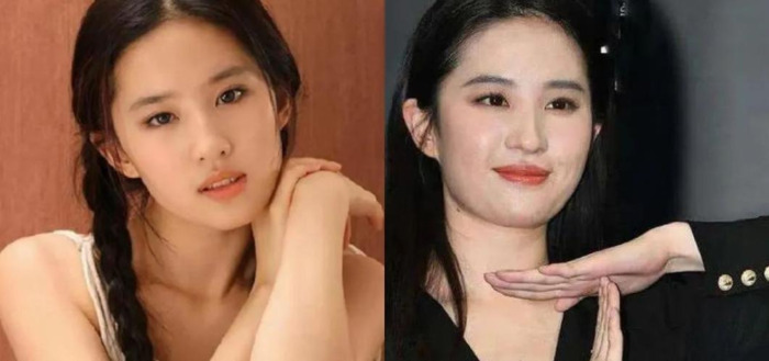 腿的照片胖【猪的腿的照片】