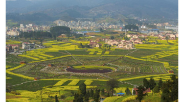 风卦代表什么【风卦详解财运】