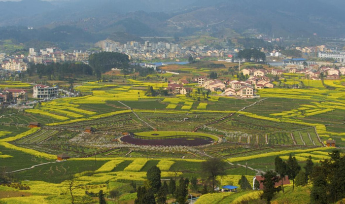 风卦代表什么【风卦详解财运】