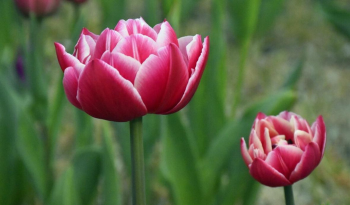 风卦代表什么【风卦详解财运】