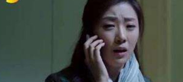 以纯标志图片衣服上的猫叫什么名字【以纯的标志】