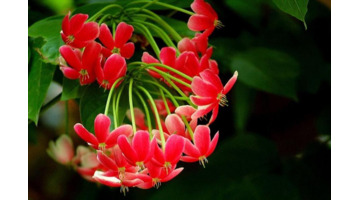 年龄越大越喜欢装嫩搞笑说说【自己年轻臭美的句子】