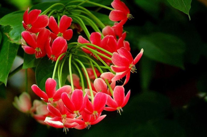 年龄越大越喜欢装嫩搞笑说说【自己年轻臭美的句子】