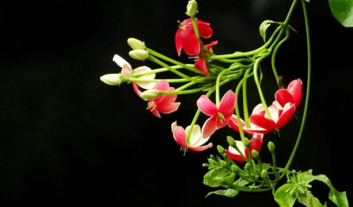 年龄越大越喜欢装嫩搞笑说说【自己年轻臭美的句子】