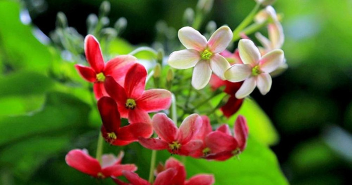 年龄越大越喜欢装嫩搞笑说说【自己年轻臭美的句子】