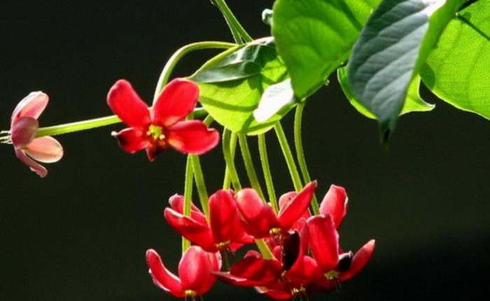 年龄越大越喜欢装嫩搞笑说说【自己年轻臭美的句子】