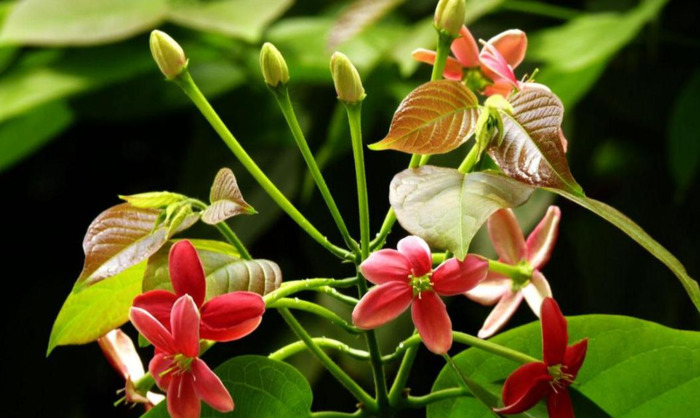 年龄越大越喜欢装嫩搞笑说说【自己年轻臭美的句子】