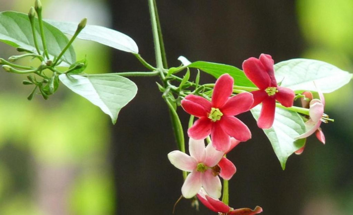 年龄越大越喜欢装嫩搞笑说说【自己年轻臭美的句子】