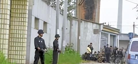 茉莉情史讲了什么内容【茉莉情史是正能量的书吗】