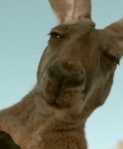 乐刷是正规公司吗【乐刷公司怎么样】