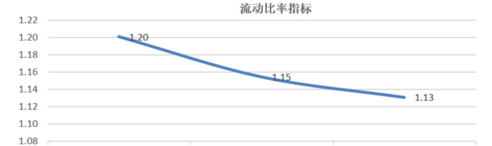 项目未来收益及偿债能力分析综合数据【企业未来收益能力和偿债能力分析报告】